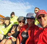 Byron Bay Whale Watching - Hotel Accommodation