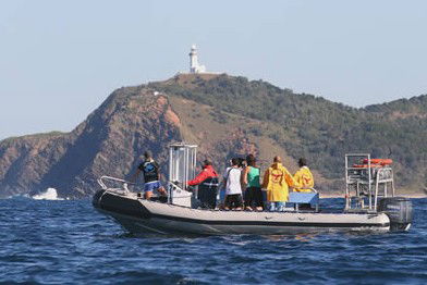 Byron Bay Dolphin Wildlife Tours - Hotel Accommodation 1