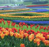 Botanica World Discoveries - Hotel Accommodation