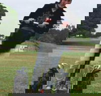 Segway Tours Australia - Hotel Accommodation