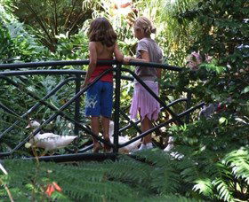 EG Waterhouse National Camellia Garden - Hotel Accommodation 0