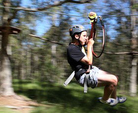 TreeTop Adventure Park Sydney