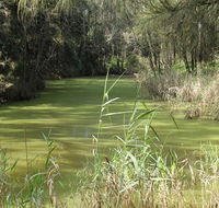Second Ponds Creek walk - Hotel Accommodation