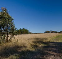 Scheyville horse riding trails - Hotel Accommodation