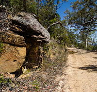 Canoelands Ridge walking track - Hotel Accommodation