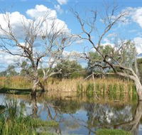 Lagoon Creek - Hotel Accommodation