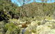 Saunders Gorge Sanctuary - thumb 1