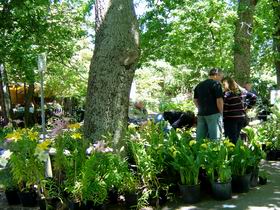 The Stirling Market - Hotel Accommodation 0