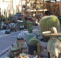 Cactus Creations - Hotel Accommodation