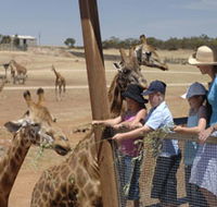 Monarto Open Range Zoo