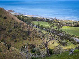 Lady Bay Beach - Hotel Accommodation 1
