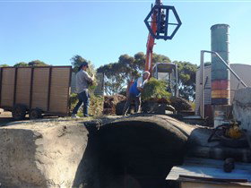 Emu Ridge Eucalyptus - Hotel Accommodation 1