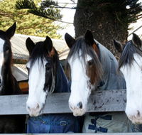 Victor Harbor Horse Drawn Tramway