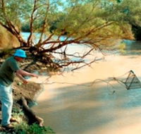 Charleville - Ward River Fishing Spot - Hotel Accommodation