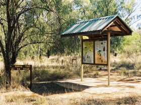 Charleville Self-Drive Itineraries - Hotel Accommodation 0