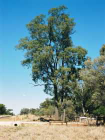 Charleville Self-Drive Itineraries - Hotel Accommodation 1