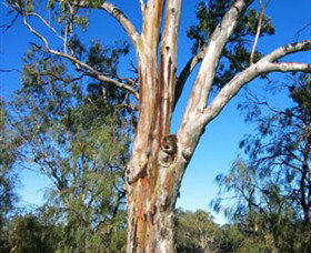 ODonnell Park At Curlwaa - Hotel Accommodation 2