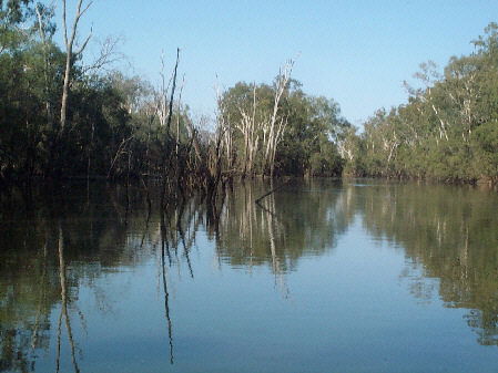 Charleville - 18 Mile Warrego River Fishing - Hotel Accommodation 1