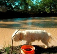 Charleville - 27 Mile Warrego River Fishing Spot - Hotel Accommodation