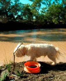 Charleville - 27 Mile Warrego River Fishing Spot - Hotel Accommodation 0