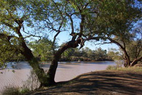 Charleville - 27 Mile Warrego River Fishing Spot - Hotel Accommodation 4
