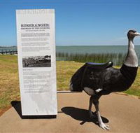 Birdman of the Coorong - Hotel Accommodation