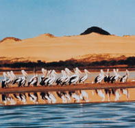 Coorong National Park - Hotel Accommodation