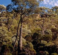 Ka Ka Mundi Carnarvon National Park - Hotel Accommodation