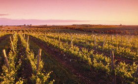 Ralph Fowler Wines - Hotel Accommodation 0