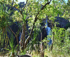 Manngarre Rainforest Walk - Hotel Accommodation 1