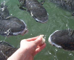 Aquascene - Hotel Accommodation 1