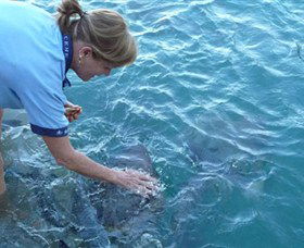 Aquascene - Hotel Accommodation 2