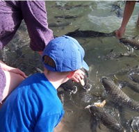 Aquascene - Hotel Accommodation