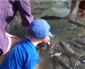 Aquascene - Hotel Accommodation 0