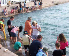 Aquascene - Hotel Accommodation 3