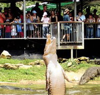 Crocodylus Park - Hotel Accommodation