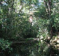 Wabunga Wayemba Charmillan Creek walking track - Hotel Accommodation
