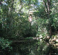 Misty Mountains Wilderness Walking Tracks - Hotel Accommodation