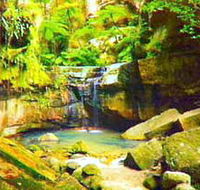 Carnarvon Gorge Carnarvon National Park - Hotel Accommodation