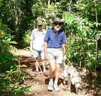 Wongabel State Forest - Hotel Accommodation