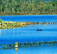 Hasties Swamp National Park - Hotel Accommodation