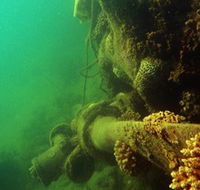 Wreck Diving at Magnetic Island - Hotel Accommodation