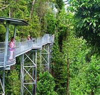 Mamu Tropical Skywalk - Hotel Accommodation