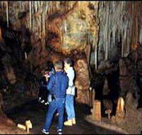 Tantanoola Caves Conservation Park - Hotel Accommodation