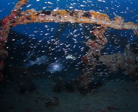 Lady Bowen Dive Site - Hotel Accommodation 1