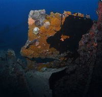 Lady Bowen Dive Site