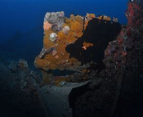Lady Bowen Dive Site - Hotel Accommodation 0