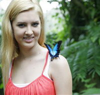 Australian Butterfly Sanctuary - Hotel Accommodation