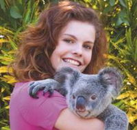 Kuranda Koala Gardens - Hotel Accommodation