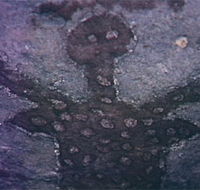 Quinkan Reserves Ancient Rock Art - Hotel Accommodation